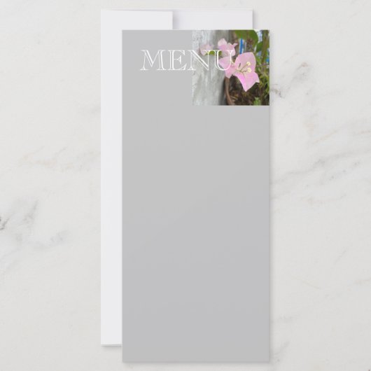 Ombre roze bougainvillea of papieren bloem, tropis (Voorkant)