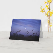 Omdat enkel Collectie Kaart (Gele Bloem)