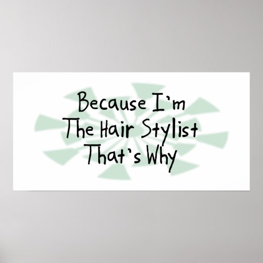 Omdat ik de Hair Stylist ben Poster (Voorkant)