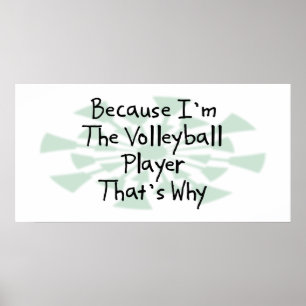 Omdat ik de Volleybalspeler ben Poster
