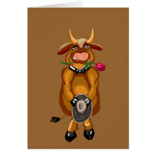 Omdat je ongelofelijk stier bent