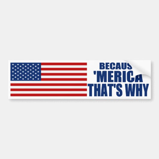 OMDAT 'MERICA' DAT IS WAAROM ONS Vlag Bumpersticke Bumpersticker (Voorkant)