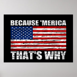 OMDAT 'MERICA DIE DE OORZAAK IS VAN ONS Vlag Poste Poster