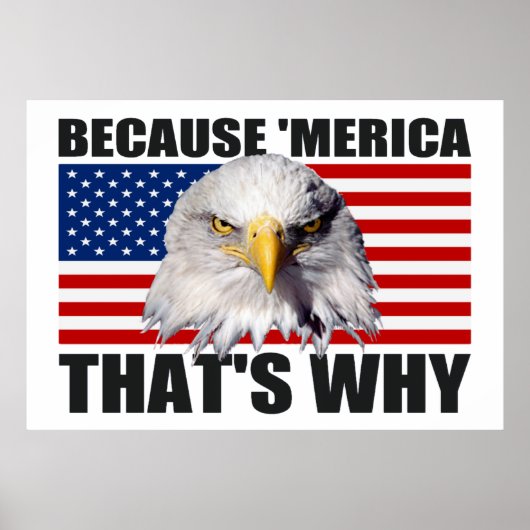 OMDAT 'MERICA DIE DE OORZAAK IS VAN ONS Vlag Poste Poster (Voorkant)