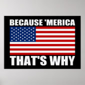 OMDAT 'MERICA DIE WAAROM ONS Vlag Poster (klein) I (Voorkant)