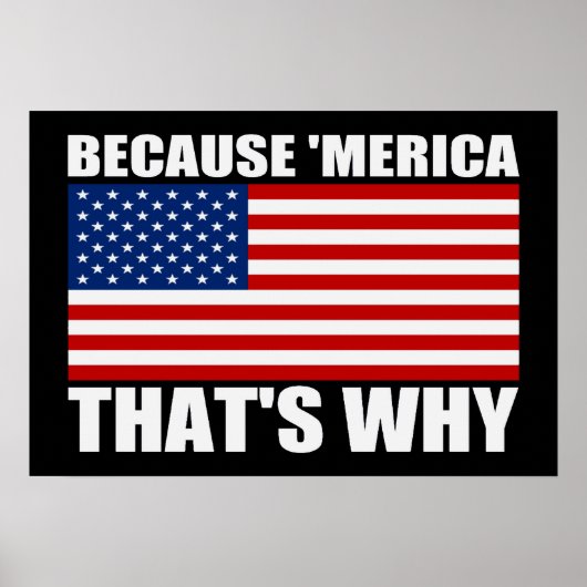 OMDAT 'MERICA DIE WAAROM ONS Vlag Poster (klein) I (Voorkant)