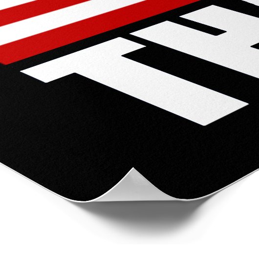 OMDAT 'MERICA DIE WAAROM ONS Vlag Poster (klein) I (Hoek)