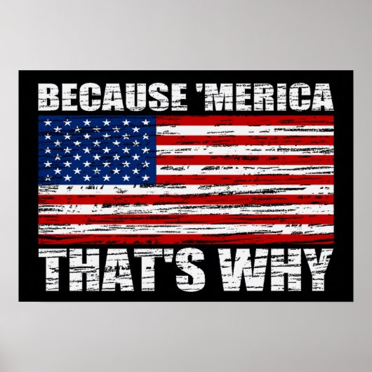 OMDAT 'MERICA DIE WAAROM ONS Vlag Poster (klein) I (Voorkant)
