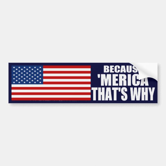 OMDAT 'MERICA' WAAROM Bumpersticker IS (Voorkant)