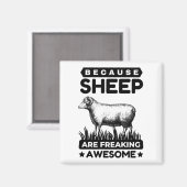 Omdat schapen Geweldige worden Magneet (Voorkant / Achterkant)