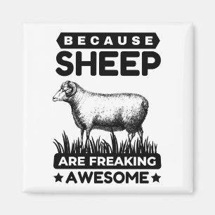 Omdat schapen Geweldige worden Magneet