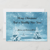 Omdat we geen plek hebben om het kerstfeest te lat (Achterkant)