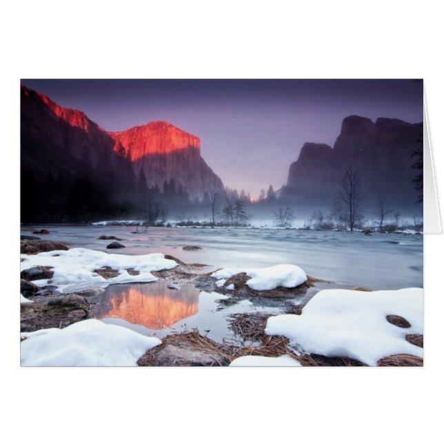 Omega Red (Voorkant Horizontaal)