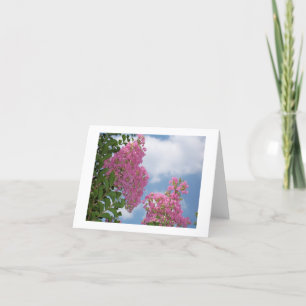 Omfloers de Kaart van de Nota van de Mirte