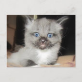 OMG BRIEFKAART (Voorkant)