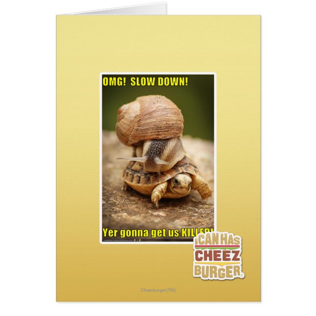 OMG! Langzaam! (Voorkant)