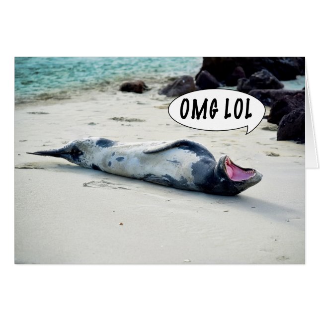 OMG LOL SEAL (Voorkant Horizontaal)
