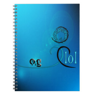 OMG! NOTITIEBOEK