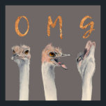 OMG Ostriches Poster<br><div class="desc">Dit is een waterverf schilderij van struisvogels met transitie-emoties van kalm naar smeltdown. Er staan letters bovenop elke struisgras die "OMG" in navelbladfolie lezen.</div>