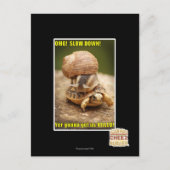 OMG! Rustig aan! Briefkaart (Voorkant)