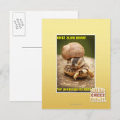 OMG! Rustig aan! Briefkaart (Voorkant / Achterkant)