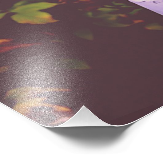 OMG! Telefoonnummer betalen Foto Afdruk (Hoek)