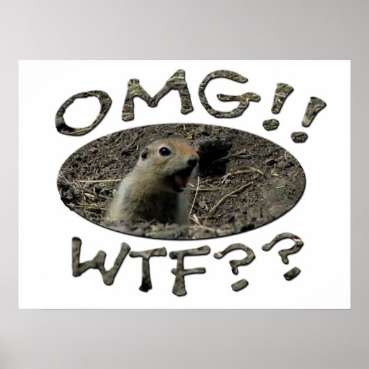 OMG WTF Gopher Poster (Voorkant)