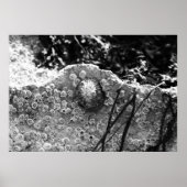 Omgekeerd Poster (Voorkant)