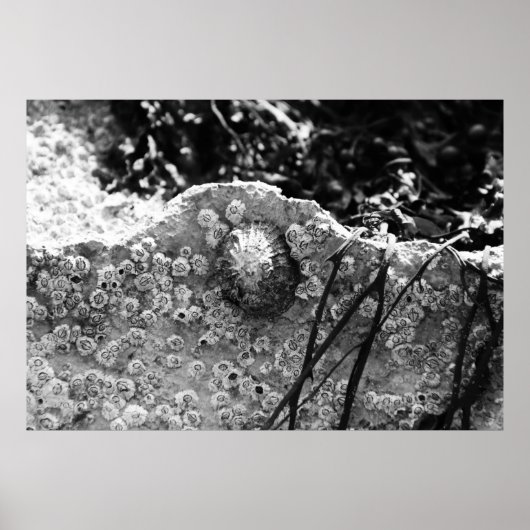 Omgekeerd Poster (Voorkant)