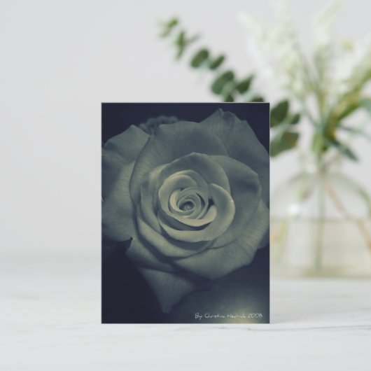 omgekeerd roos briefkaart (Staand voorkant)