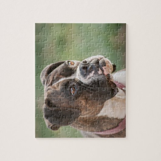 Omgekeerde Brindle Boxer Boxer Dog Puzzels (Verticaal)