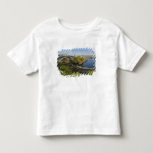 Omgekeerde waterval in de rivier de St. John bij S Kinder Shirts