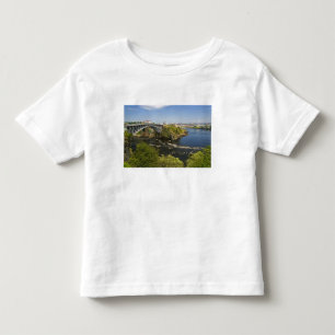 Omgekeerde waterval in de rivier de St. John bij S Kinder Shirts