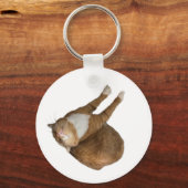 Omgekeerde-Zonnebrand Kat Sleutelhanger (Voorkant)
