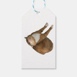 Omgekeerde Zonneschijn Cadeaulabel