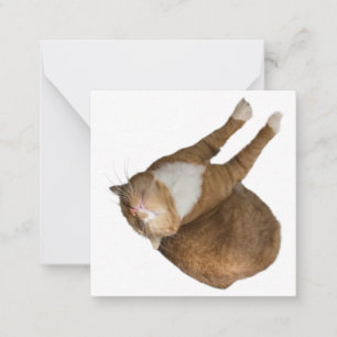 Omgekeerde Zonneschijn Kat Notitiekaartje