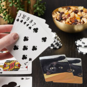 Omgekeerde Zwarte Kat Klassieke Speelkaarten (Insitu)