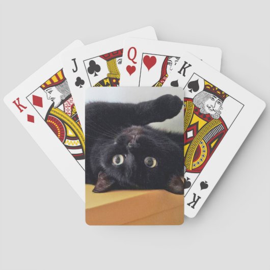 Omgekeerde Zwarte Kat Klassieke Speelkaarten (Achterkant)