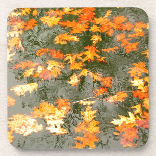 omgekomen bladeren in de regen bier onderzetter