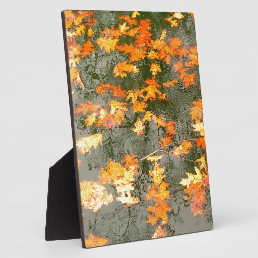 omgekomen bladeren in de regen fotoplaat (Zijkant)