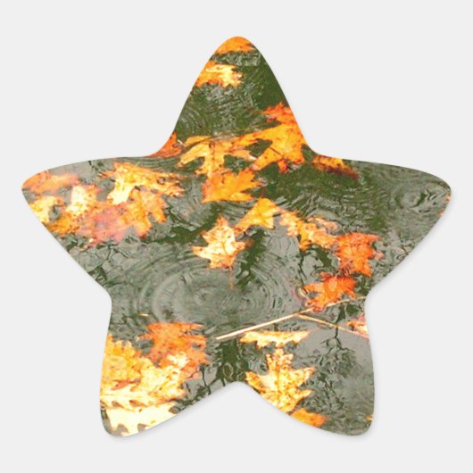 omgekomen bladeren in de regen ster sticker (Voorkant)
