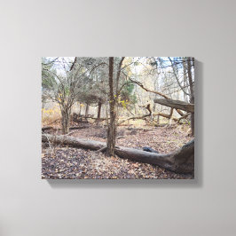 Omgevallen bomen canvas afdruk