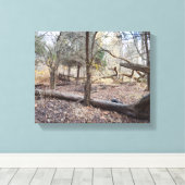 Omgevallen bomen canvas afdruk (Insitu (Houten vloer))