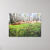 Omgevallen boom in herfstmos - canvas afdruk (Voorkant)