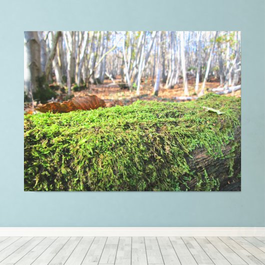 Omgevallen boom in herfstmos - canvas afdruk (Insitu (Houten vloer))