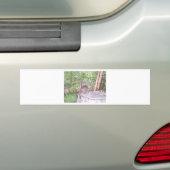 Omgevallen boom met stronk in bos bumpersticker (Op auto)