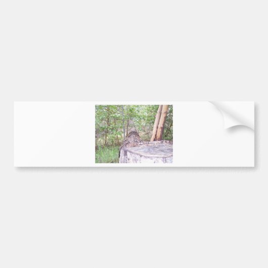 Omgevallen boom met stronk in bos bumpersticker (Voorkant)