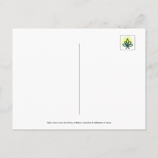 Omgevallen hek bedekt met dauw, spinnenweb briefkaart (Achterkant)