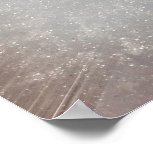 omgevallen twijg poster (Hoek)