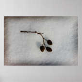 omgevallen twijg poster (Voorkant)